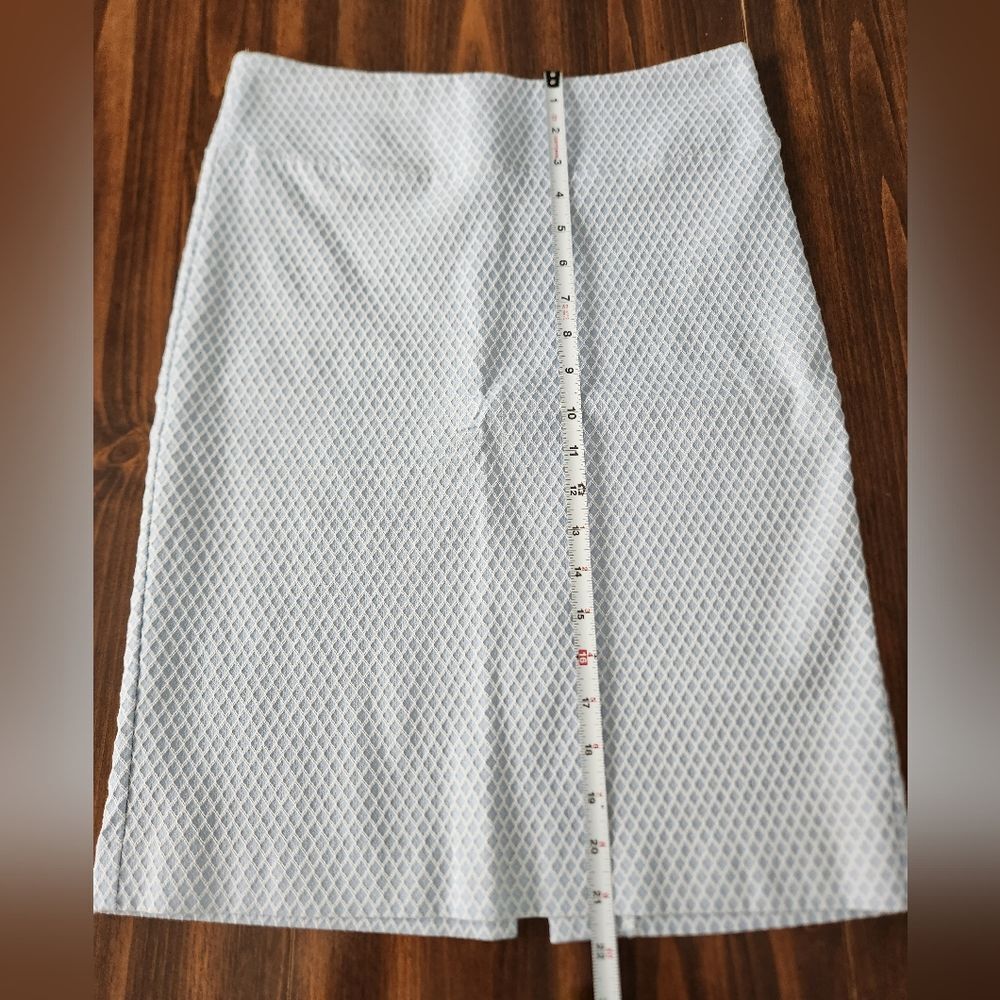 Margaret M stitchfix pencil skirt women's Medium blue white